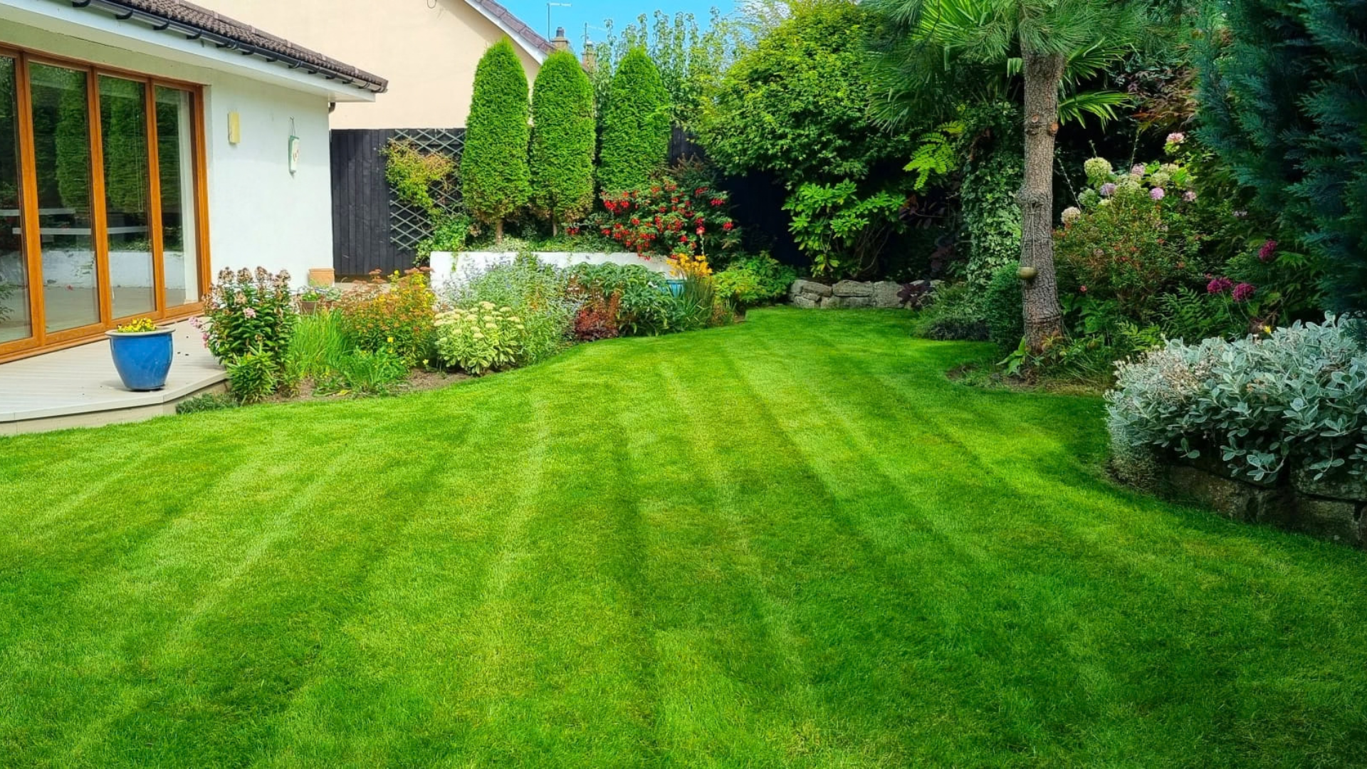 Lawn care in Moray, with healthy grass, shrubs and trees