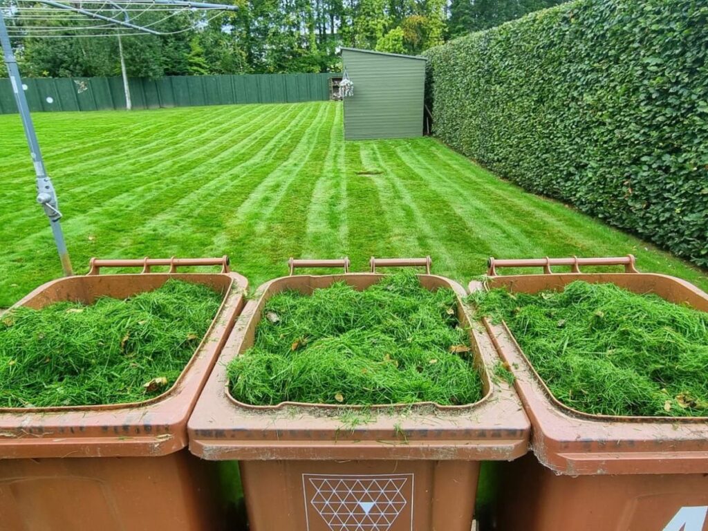 Image of grass clippings, taken after a mowing programme from Highland Green in Moray